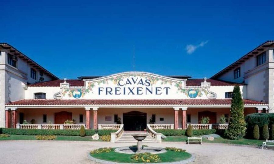 Querétaro: Cheese and Wine Tasting Tour - Key points to know before you book