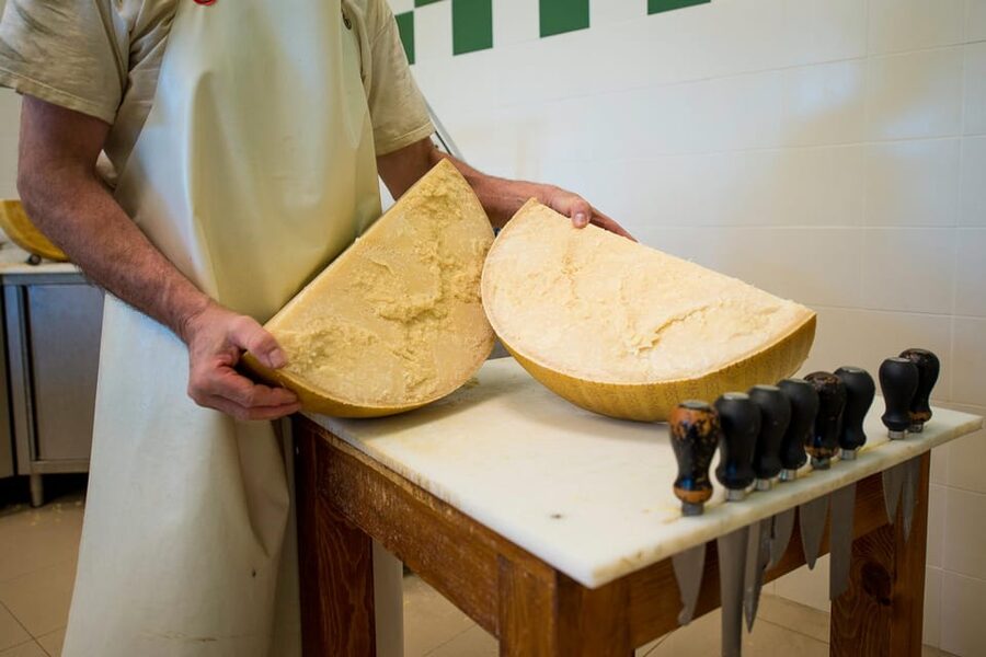 Reggio Emilia: Parmigiano Reggiano & Balsamic Vinegar Tour - Meeting cows and very young calves
