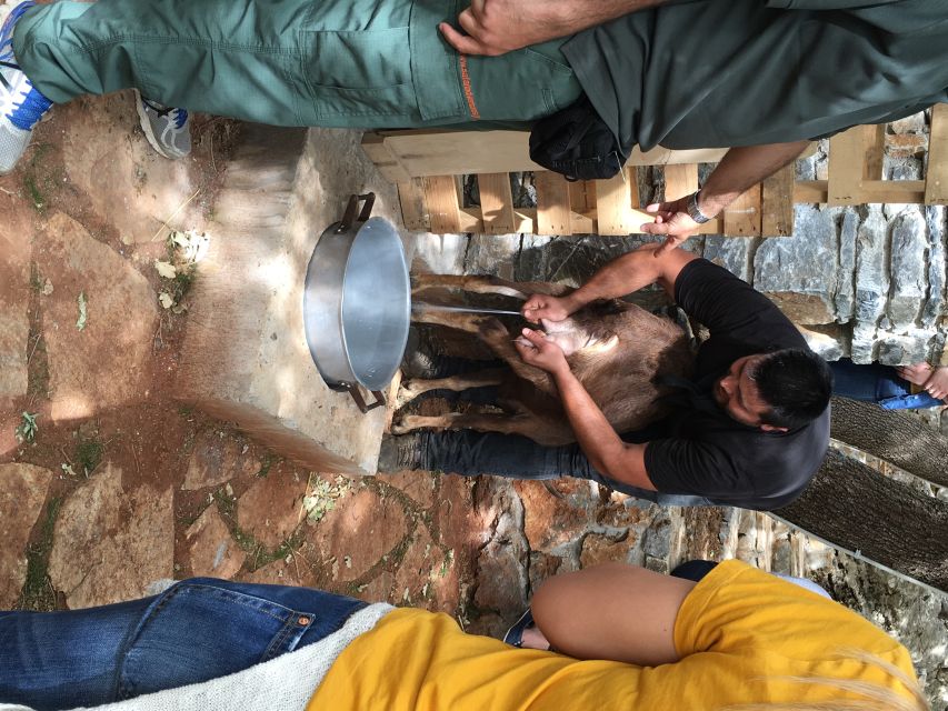Rethymno 4x4 Safari: Tastes & Farm Experience - Key points at a glance