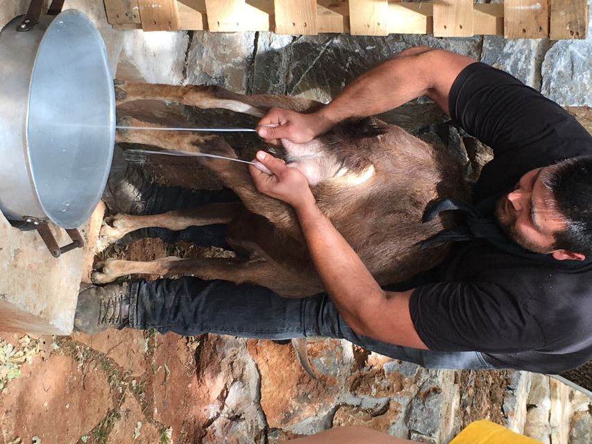 Rethymno 4x4 Safari: Tastes & Farm Experience - Leaving the coast in a small 4x4