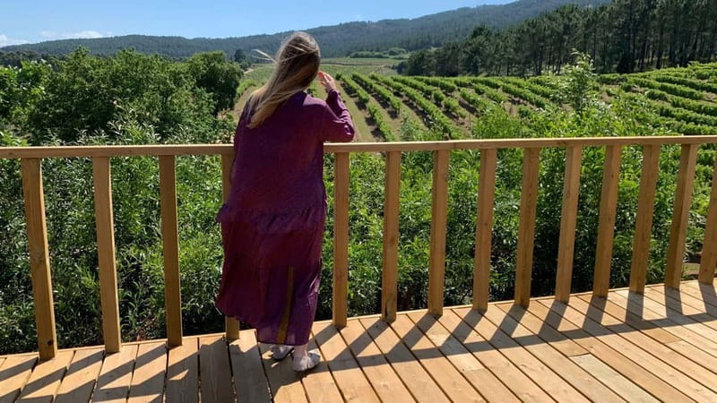 Rías Baixas Albariño Experience: Winery Visit & Cheese - Why the O Rosal Valley makes a good wine stop