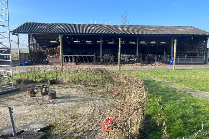 Rotterdam- Kinderdijk -Cheese Farm Experience min 4 max 100 PP - Why Kinderdijk and cheese work well together