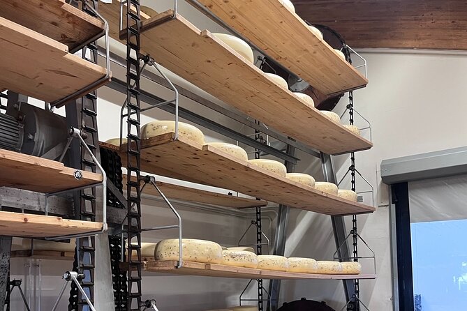 Rotterdam- Kinderdijk -Cheese Farm Experience min 4 max 100 PP - Who will enjoy this outing most