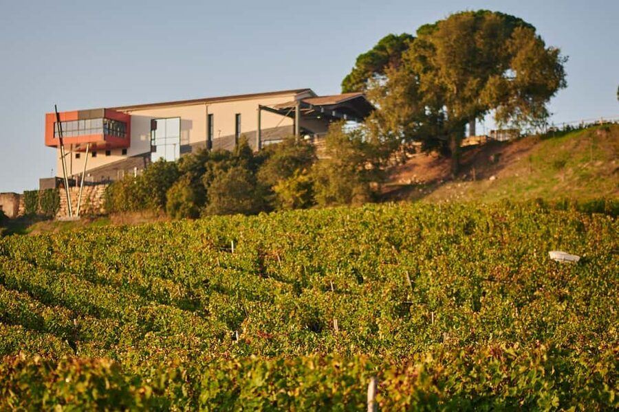 Saint-Emilion: Grand Cru Classé Cheese & Charcuterie Visit - Key points to know before booking