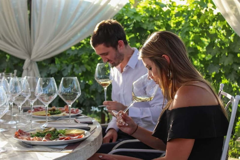 San Gimignano: Tasting of Tuscan Wines and Cheeses - What the Tenuta Torciano tasting is really about