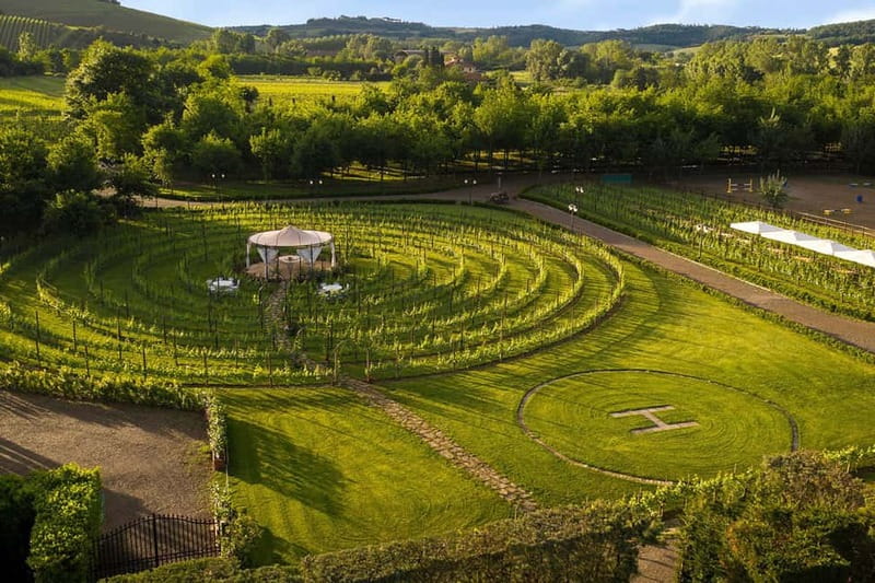 San Gimignano: Tasting of Tuscan Wines and Cheeses - What the hour looks like from arrival to departure