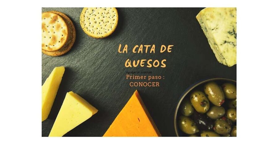 Santiago de Compostela: Cheese and Wine Tasting Experience - Key points at a glance