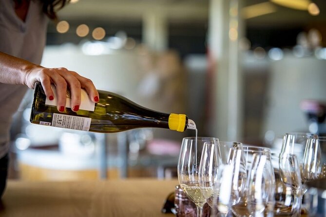 Santiago de Compostela: Cheese and Wine Tasting Experience - What happens from check-in to the final pour