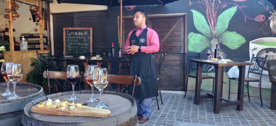 Santiago de Querétaro: Pueblos Mágicos Cheese and Wine Route - Inside Freixenet’s 25-meter cava