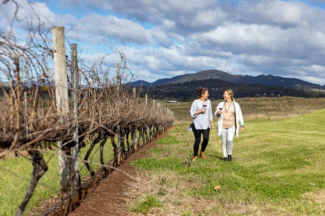 Scenic Hunter Valley Tour with Wine and Cheese Tastings - Tasting Hunter Valley’s better-known grape varieties