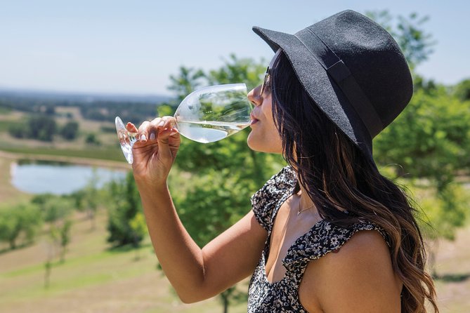 Scenic Hunter Valley Tour with Wine and Cheese Tastings - What the guides add to the experience