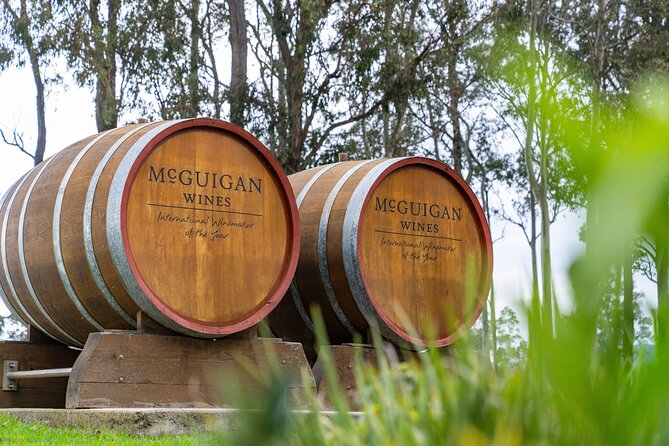 Scenic Hunter Valley Tour with Wine and Cheese Tastings - Who will enjoy this Hunter Valley day trip?