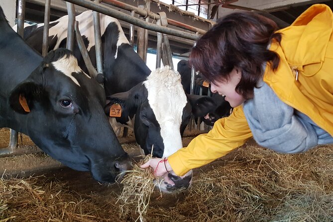 Secrets of Parmigiano Reggiano and Balsamic Vinegar - Exploring the traditional vinegar works in Albinea