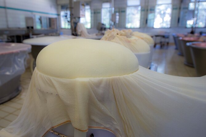 Secrets of Parmigiano Reggiano and Balsamic Vinegar - Watching Parmigiano Reggiano take shape in Cavriago