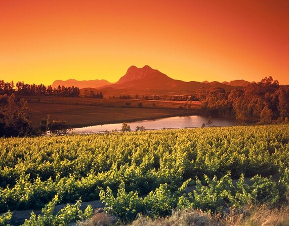 Shared Tour To The Wineries Stellenbosch Paarl + Cheese Tasting from Cape Town - Key points at a glance