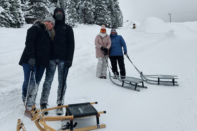 Sledding Cheese Fondue, Chocolate - The descent toward Holenstein
