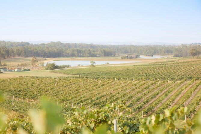 Small Group Hunter Valley Wine Tour w Lunch, Gin, Cheese & Choc - What the $161.38 price really covers