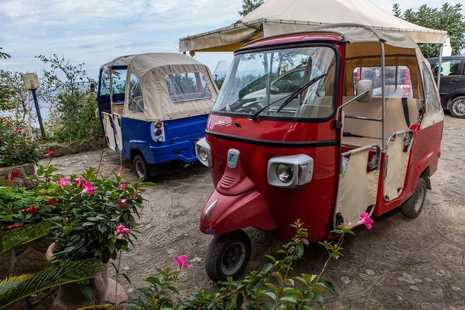Sorrento Farm by Tuk Tuk: Cheese, Limoncello & Hands-On Pizza - Who will get the most from this Sorrento experience