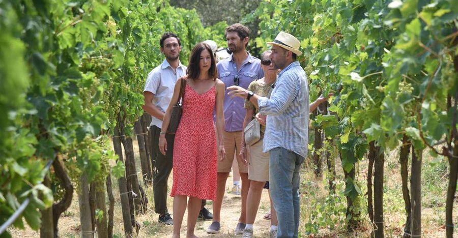 Sorrento: Farm Tour with Cheese Tasting & Pizza Making Class - Key points to know before booking