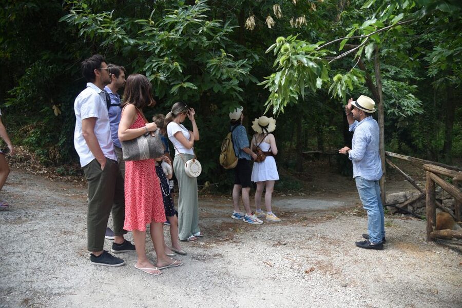 Sorrento: Farm Tour with Cheese Tasting & Pizza Making Class - Lunch, wine, dessert, and limoncello