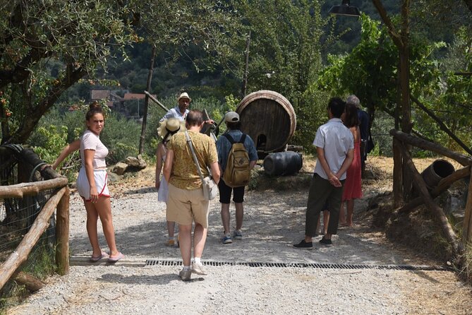 Sorrento Half-Day Farm Experience: Pizza, Cheese Making and Wine - A family farm above Sorrento