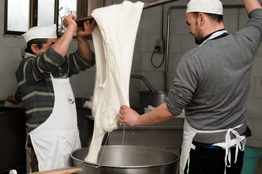 Sorrento: mozzarella cheese workshop in Vico Equense - Tasting fresh cheese, aged cheese, and local wine