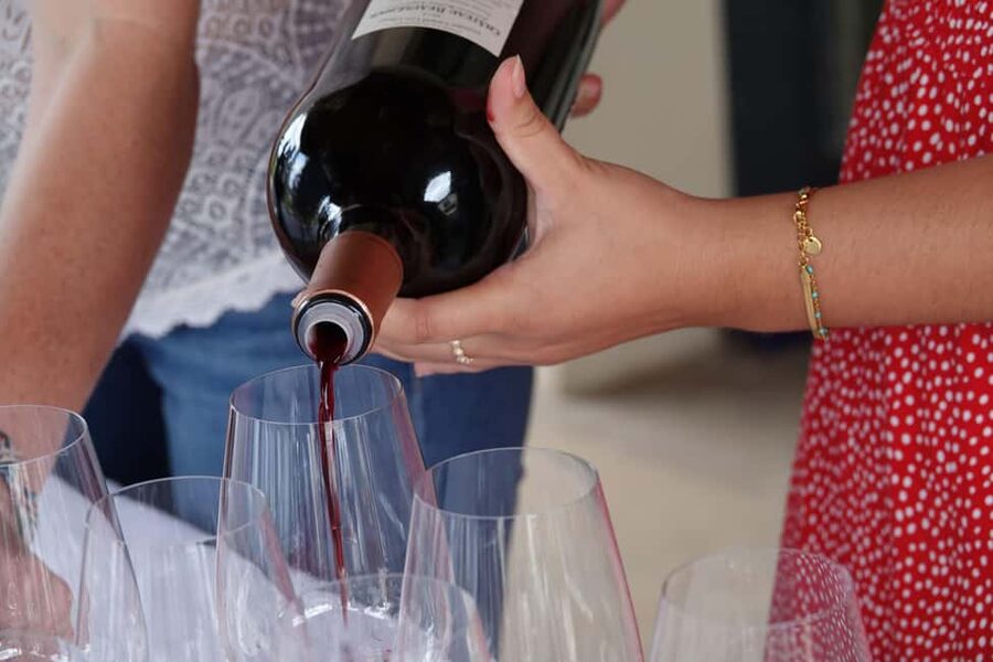 St. Emilion: Half Day E-Bike & Wine Tour with Wine & Cheese - What the guide adds to the day