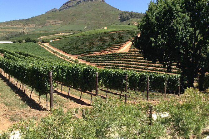 Stellenbosch Franschhoek Full-Day Tour with Cheese Tasting - Starting with Stellenbosch history and town life