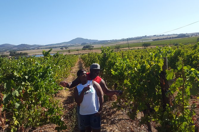 Stellenbosch Franschhoek Full-Day Tour with Cheese Tasting - Franschhoek for a short town walk