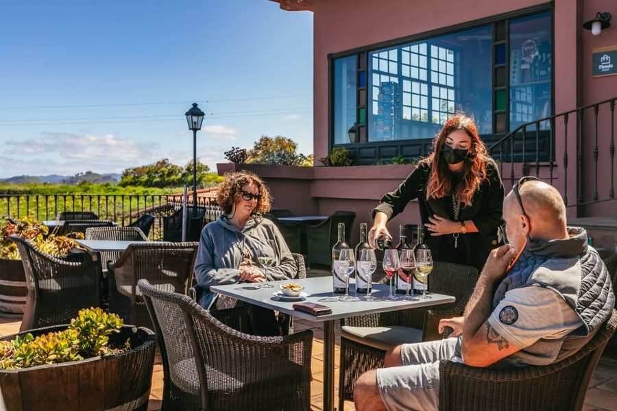 Tacoronte: Guided Winery Tour with Wine and Cheese Tastings - Should you book Bodegas Monje?