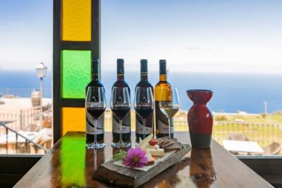 Guided Winery Tour with Wine and Cheese Tastings