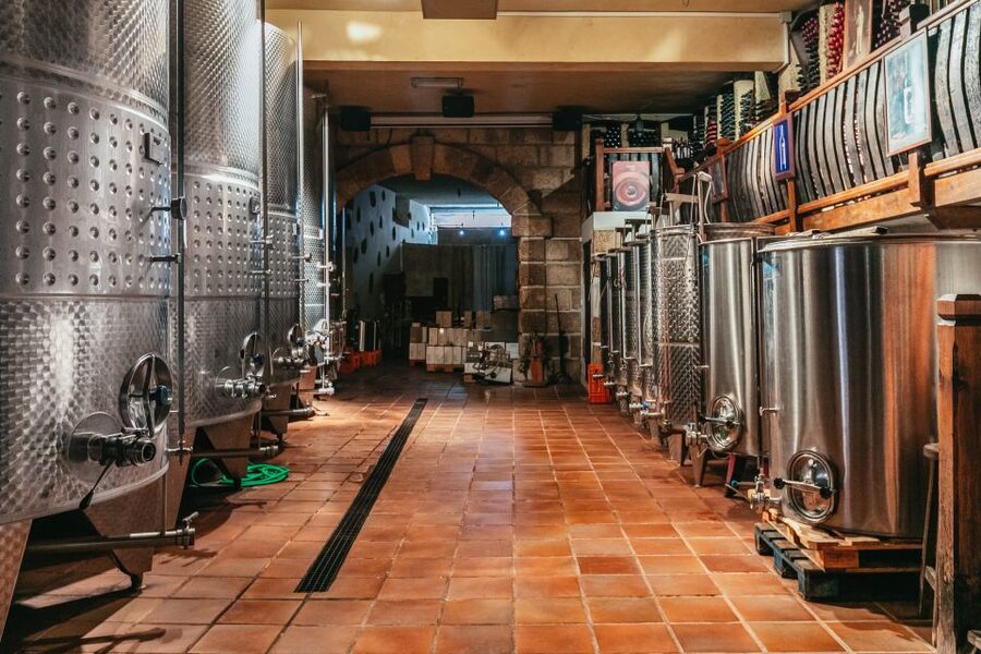 Tacoronte: Guided Winery Tour with Wine and Cheese Tastings - The guide makes a big difference