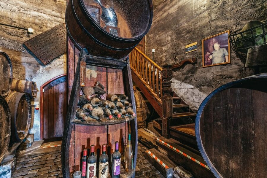 Tacoronte: Guided Winery Tour with Wine and Cheese Tastings - Is $41 a fair price?