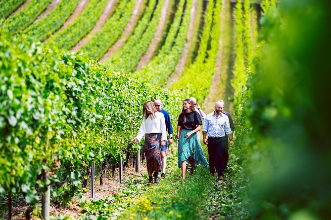 Tasmanian Premium Wine Tour with Tasmanian Cheese Platter - Key points at a glance