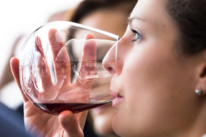 Tasmanian Premium Wine Tour with Tasmanian Cheese Platter - What this Hobart wine day is really like