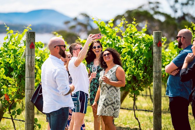 Tasmanian Premium Wine Tour with Tasmanian Cheese Platter - Who should book this tour?