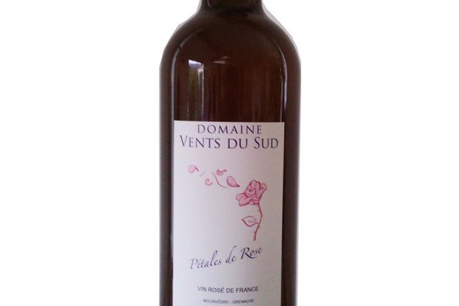 tasting workshop of 6 to 8 wines with charcuterie chocolate cheese - Arriving at Domaine Vents du Sud in Vingrau