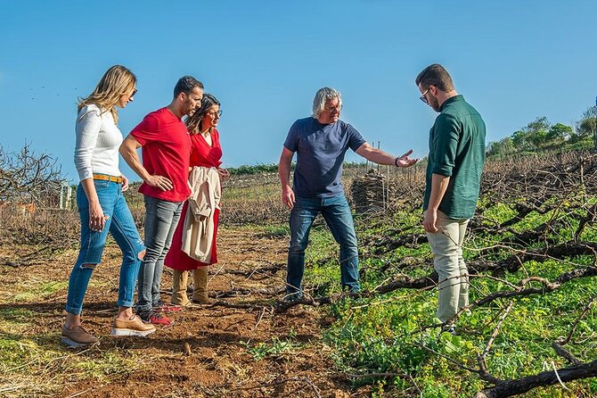 Tenerife Bodegas Monje Winery Tour with Wine and Cheese Tasting - Who will enjoy Bodegas Monje most?