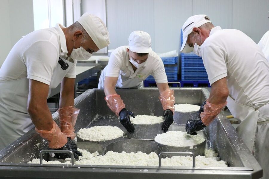 Tenerife - Farm Tour with Cheese Tasting - Meeting the goats at Quesería Montesdeoca