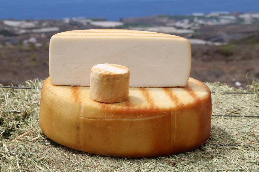 Tenerife - Farm Tour with Cheese Tasting - Inside the cheese factory