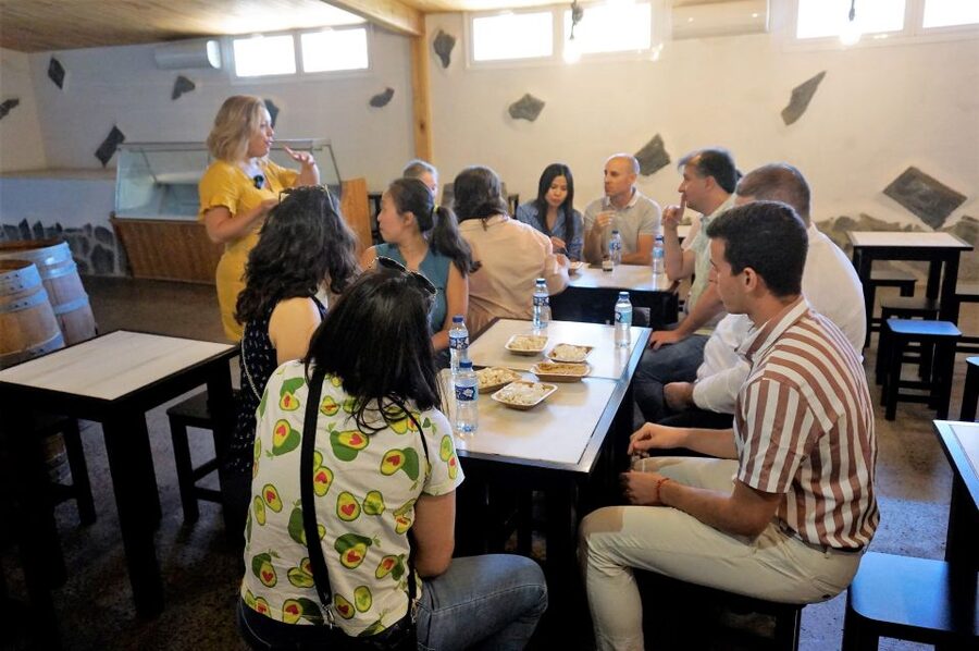Tenerife - Farm Tour with Cheese Tasting - Should you book Quesería Montesdeoca?