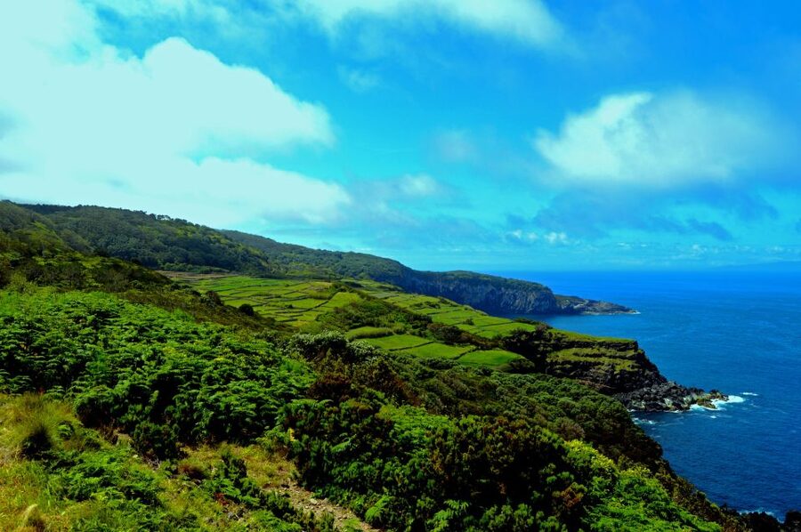 Terceira: Half-Day Island Tour with Cheese Tasting - São Mateus port and Terceira’s working coast