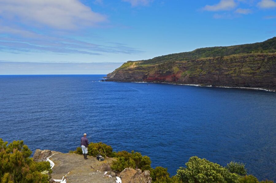Terceira: Half-Day Island Tour with Cheese Tasting - Four cheeses and a taste of local production