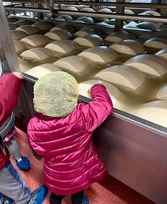 The Art of Parmigiano Reggiano & Aged Balsamic Vinegar - What you taste at the acetaia