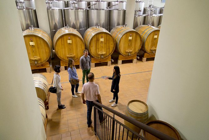 The Valpolicella food & wine driving tour: cheese factory+ winery - Lunch in a private wine cellar
