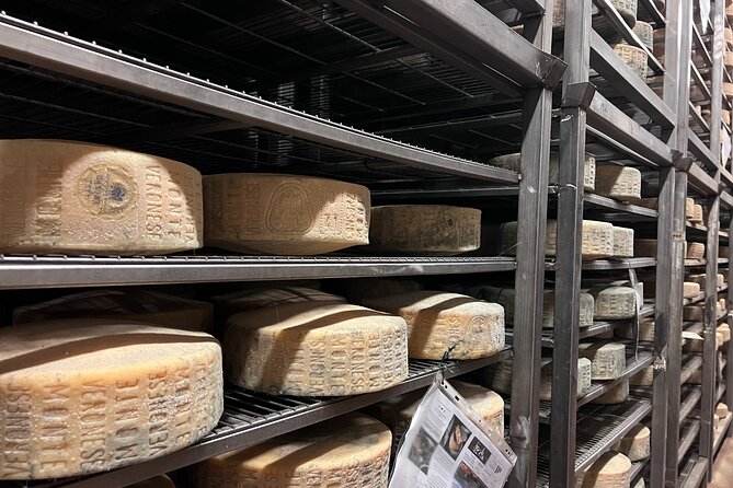 The Valpolicella food & wine driving tour: cheese factory+ winery - The road through Negrar di Valpolicella