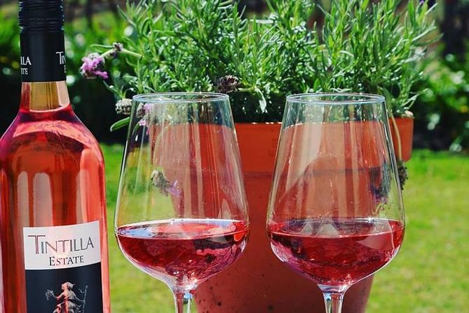 Tintilla Estate: Wine Tasting with a Meat and Cheese Platter - A one-hour tasting with the vineyard in view