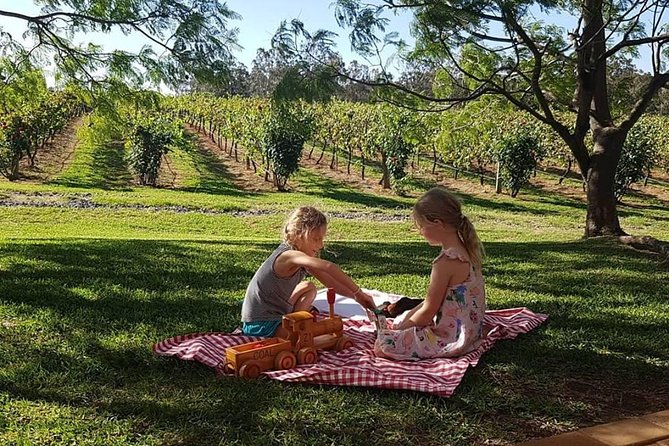 Tintilla Estate: Wine Tasting with a Meat and Cheese Platter - What $35.86 buys you