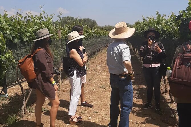 Tour of the Tradition and History of Cheese and Wine in Querétaro - Alejandro’s role and the group size
