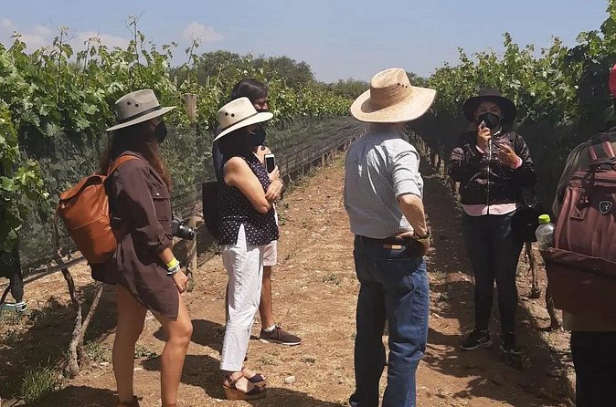 Tour of the Tradition and History of Cheese and Wine in Querétaro - Price, timing, and pickup details